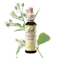 CLEMATIS - ISZALAG 20ml