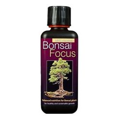 Bonsai Focus 100ml-től