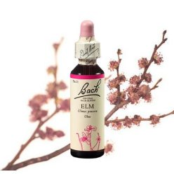 ELM - SZILFA 20ml