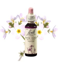 WATER VIOLET - BÉKALILIOM 20ml