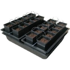 Nutriculture Wilma AW120 20x6L hidroponikus rendszer