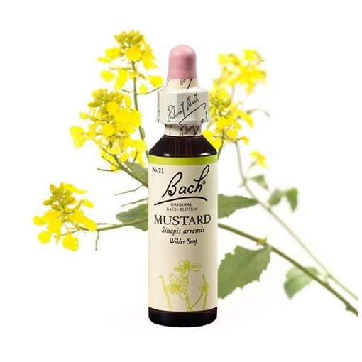 MUSTARD - VADREPCE 20ml