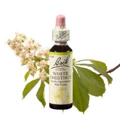 WHITE CHESTNUT - FEHÉR VIRÁGÚ VADGESZTENYE 20ml