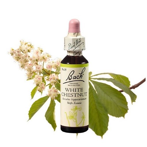 WHITE CHESTNUT - FEHÉR VIRÁGÚ VADGESZTENYE 20ml