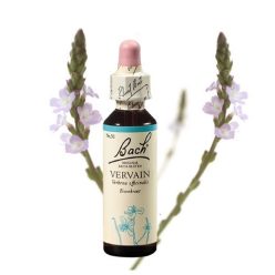 VERVAIN - VASFŰ 20ml