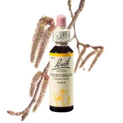 HORNBEAM - GYERTYÁN 20ml