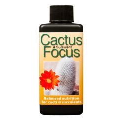 Cactus Focus 300ml