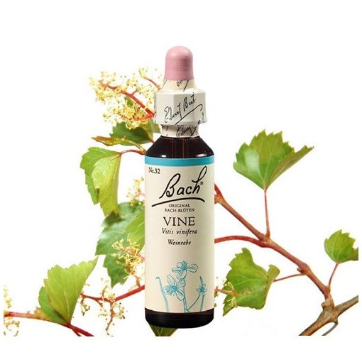 VINE - SZŐLŐ 20ml