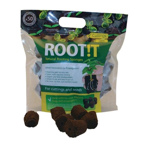 Root!t kocka 50db