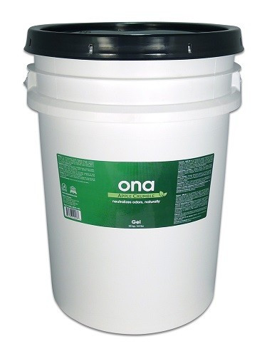 Ona Gel Apple Crumble 20L