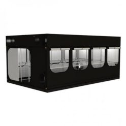 Secret Jardin Intense 3.0 INT480