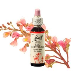 RED CHESTNUT - VÖRÖS VADGESZTENYE 20ml