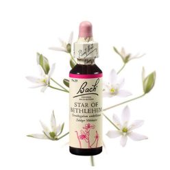 STAR OF BETHLEHEM - ERNYŐS MADÁRTEJ 20ml
