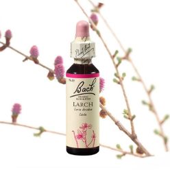 LARCH - VÖRÖSFENYŐ 20ml