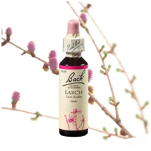 LARCH - VÖRÖSFENYŐ 20ml