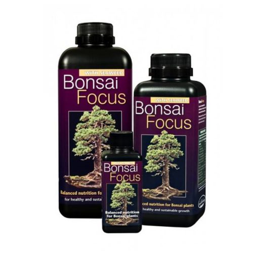 Bonsai Focus 300ml